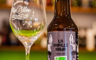 Envie de bières spéciales à Nancy ?